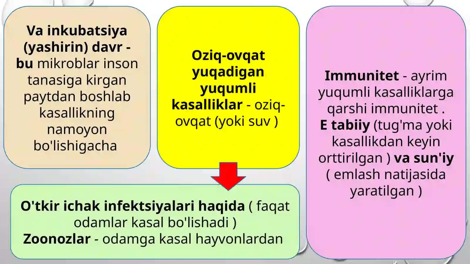 Ichakning yuqumli kasalliklari, zoonozlar, gelmintozlar va ularning oldini olish 4