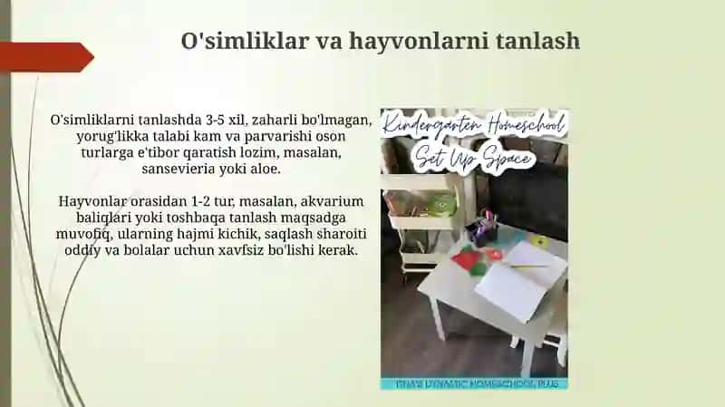 MTT larda tabiat burchagini tashkil etish metodlarini yoritish 4