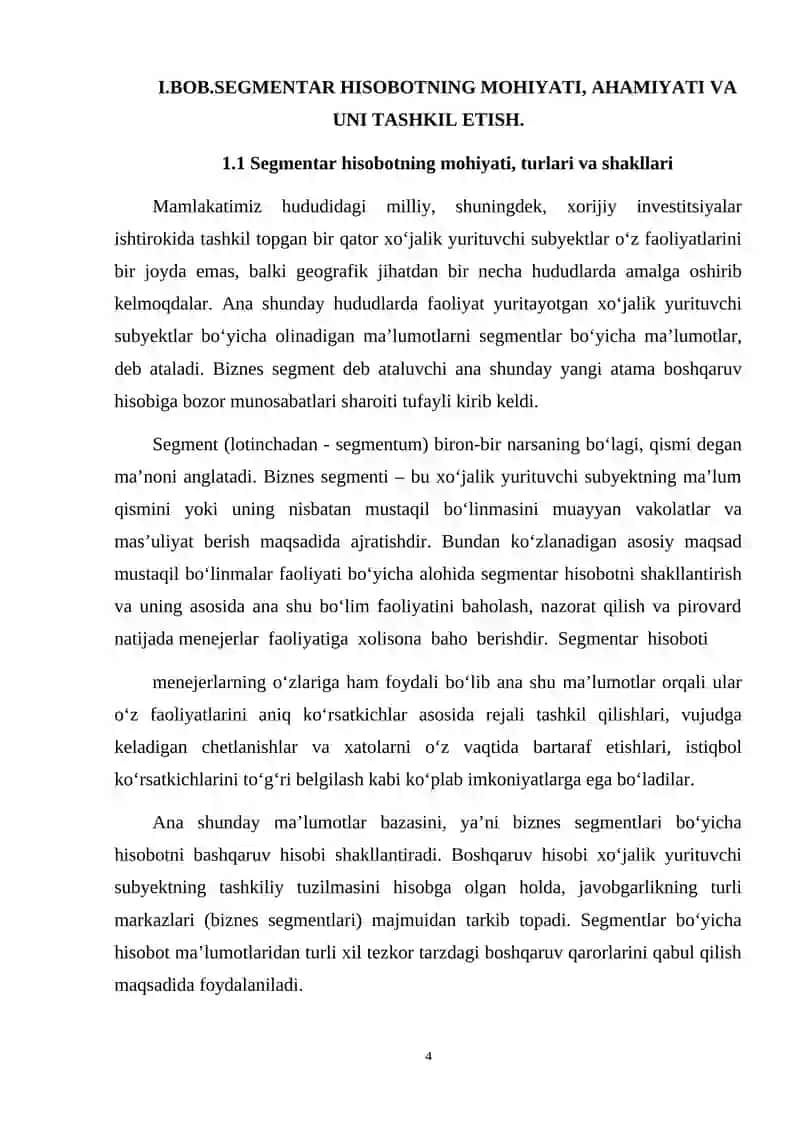 TASHQI FOYDALANUVCHILAR UCHUN SEGMENTLAR BO’YICHA HISOBOTNI TUZISH TARTIBLARI 4