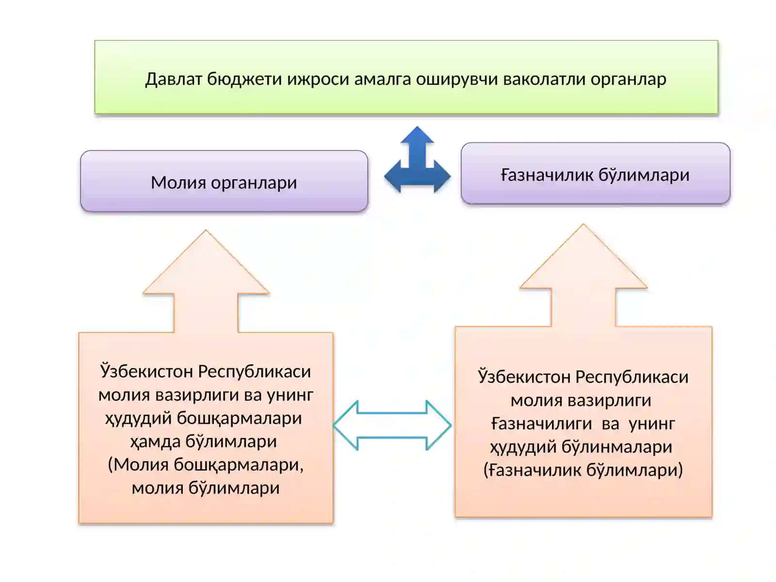 Молия органлари, Ғазначилик ва унинг ҳудудий бўлинмаларида бухгалтерия ҳисобини ташкил этишнинг услубий асослари 4
