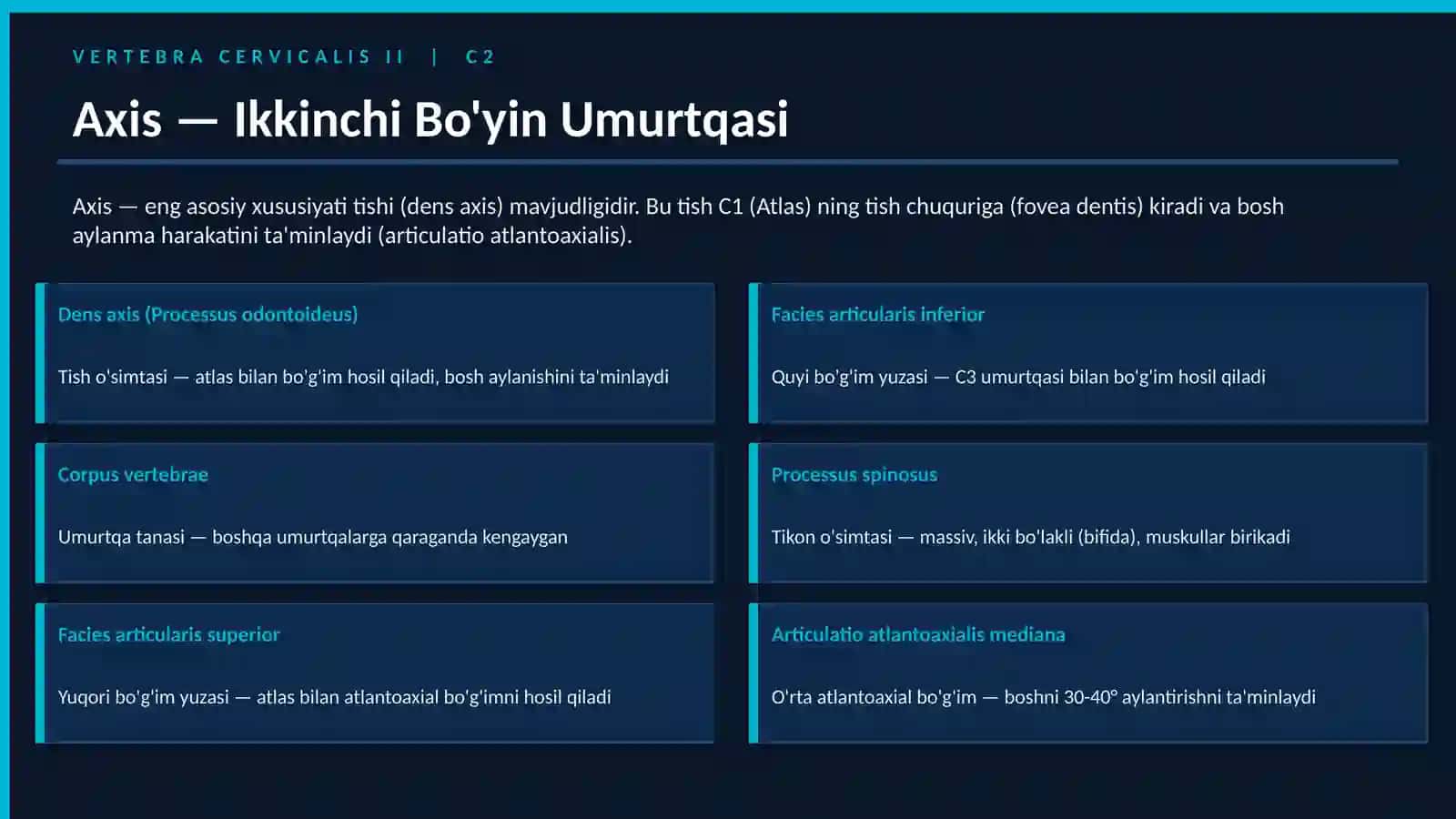 Umurtqa pog'onasi va Ko'krak qafasi Lotincha terminologiya 4