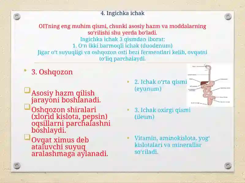 Oshqazon – ichak traktida so’rilishning biofizikaviy mexanizimlari. 4