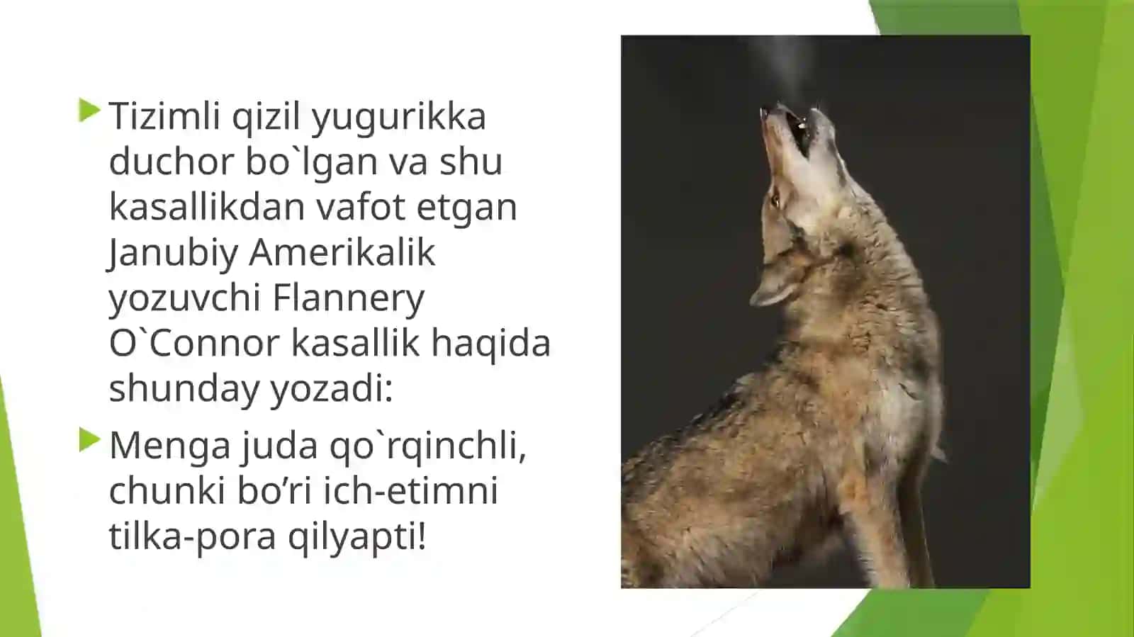 Tizimliqizilyugurik va Dermatomiozit 4