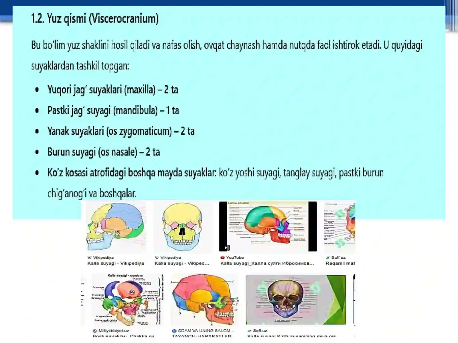 Yangitug'ilgan chaqaloq kallasuyaklarining yoshgaxos xususiyatlari 4