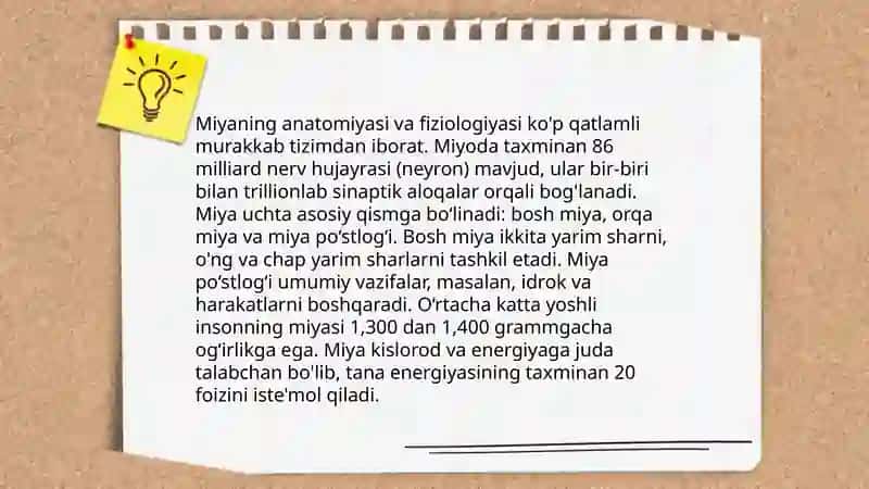 Psixik jarayonlar va miyaning o'zaro aloqadorligi 4