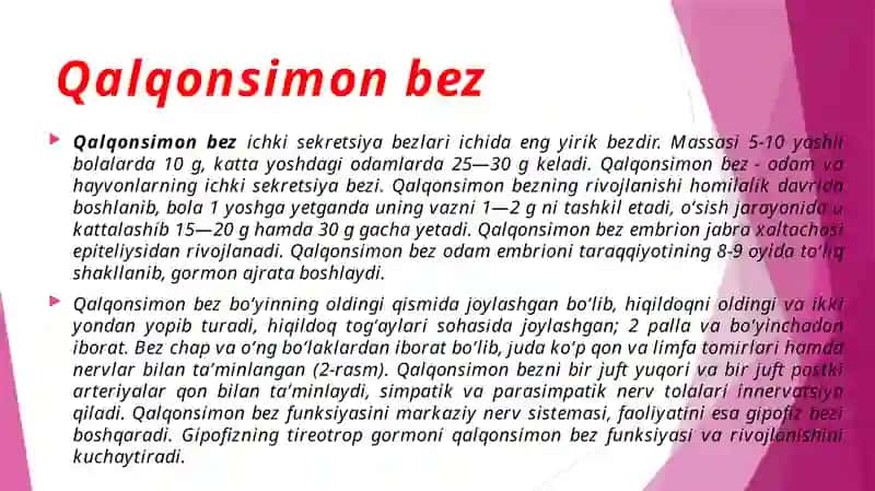Aralash sekretsiyabezlar anatomiyasi va fiziologiyasi 4
