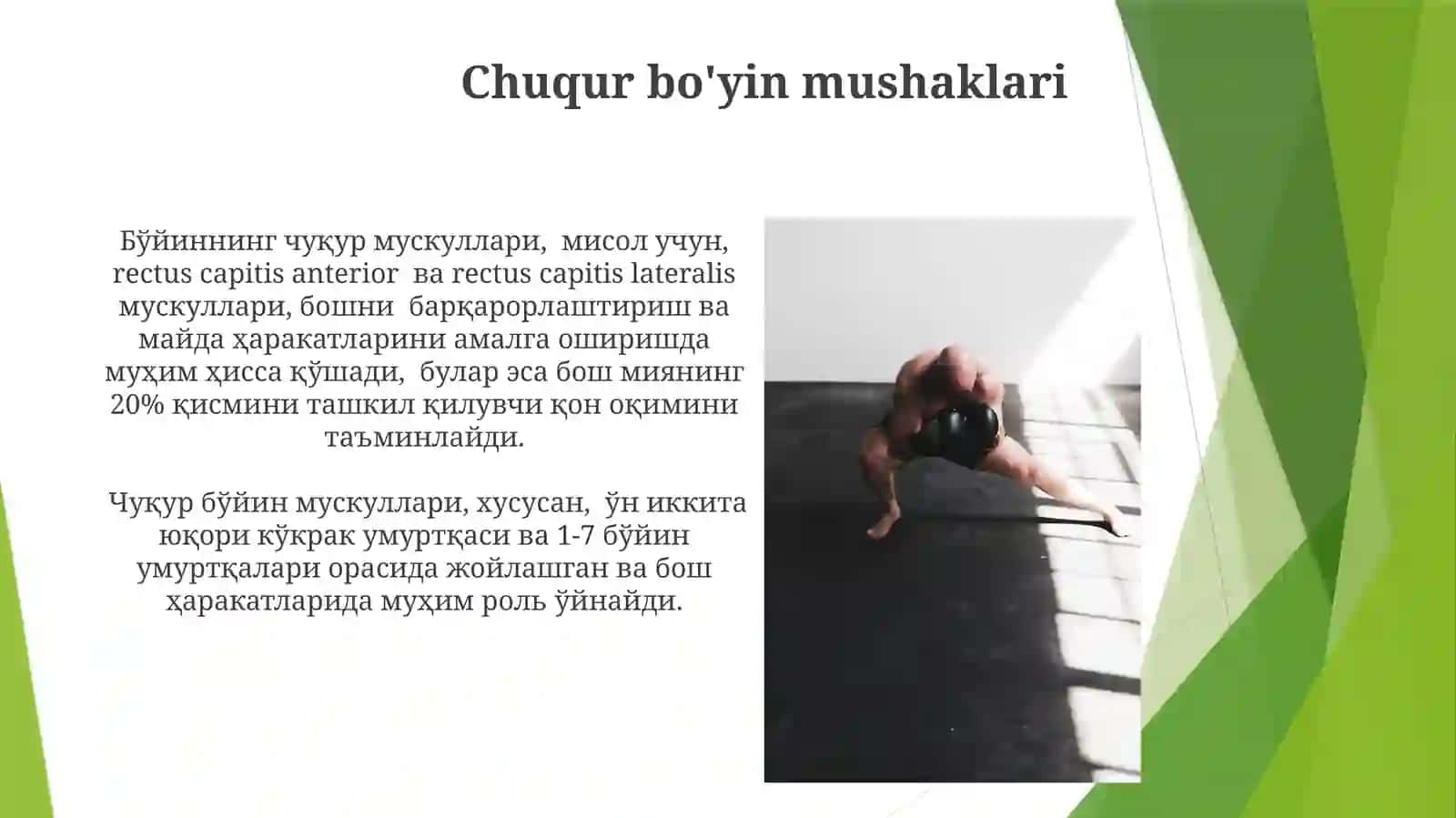 Bo'yinsohasining mushak va fastsiyalari hamda topografiyasi 4