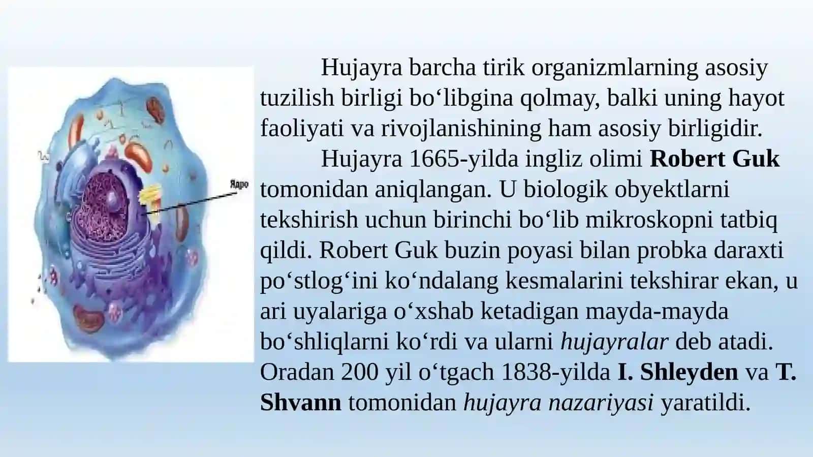 Hujayraning oziqlanishi rivojlanishi va ko`payishi 4