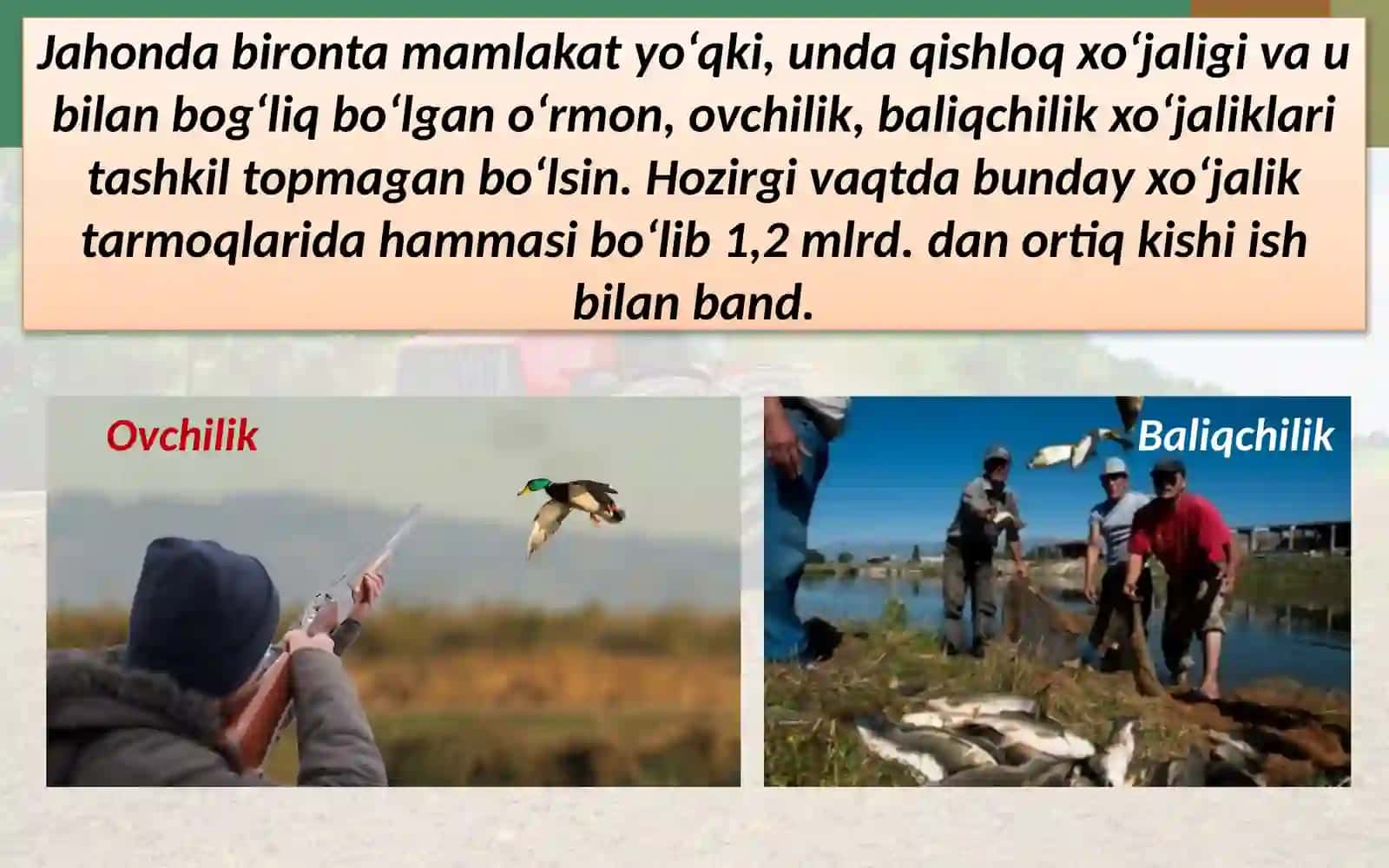Qishloq xo‘jaligi geografiyasi 4