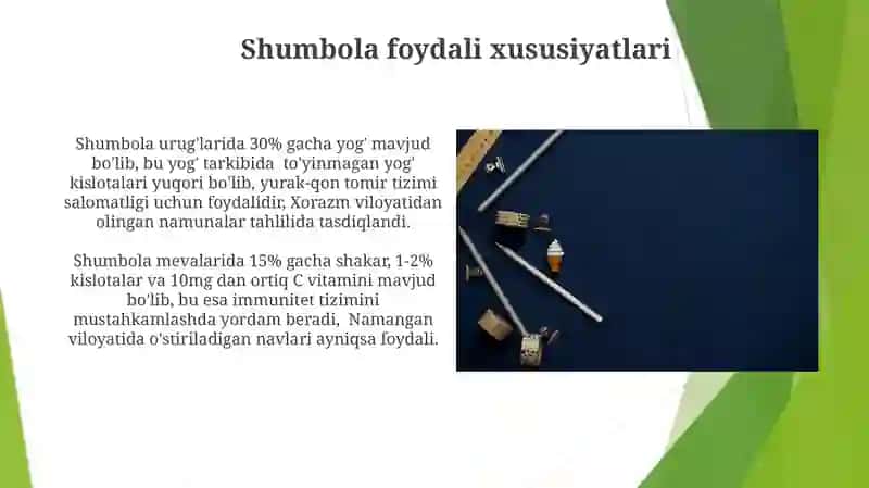 Shumbola 4