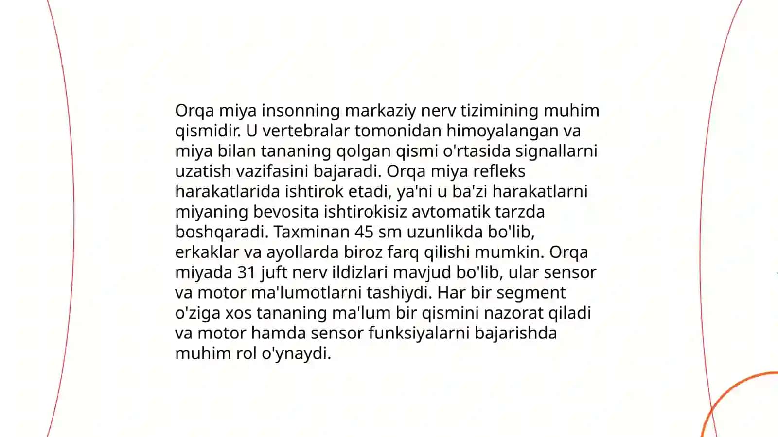 Orqa miya anatomiyasi 4