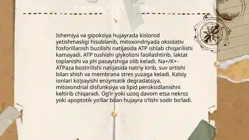 Hujayraning zararlanishi no utgan boʻlishi va sabablari 4