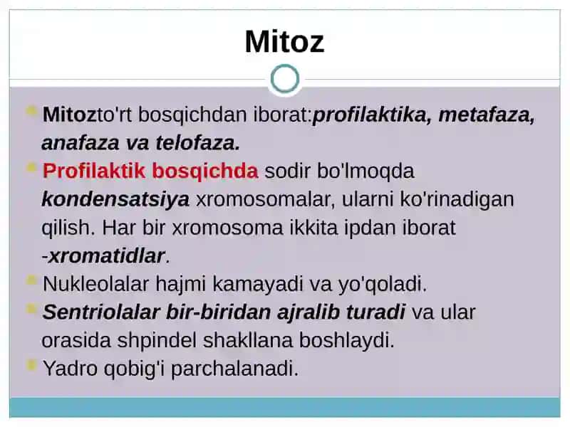 Hujayralarning bo’linish turlari.Mitoz. 4