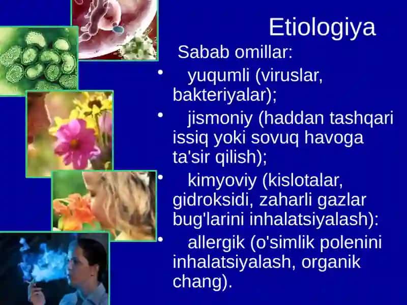 Bronxit kasalligi qo'zg'atuvchilari 4
