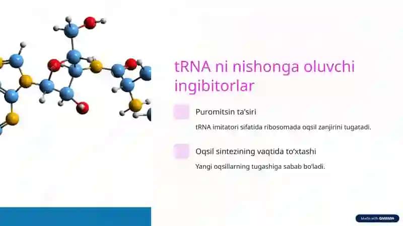 Oqsil biosintezi ingibitorlari 4