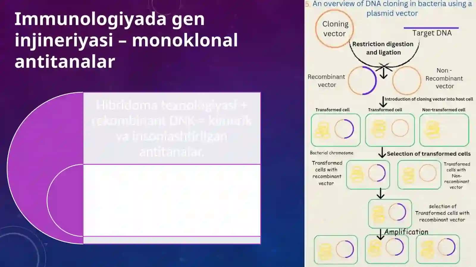 Gen injineriyasi va gipertermiya turlari 4