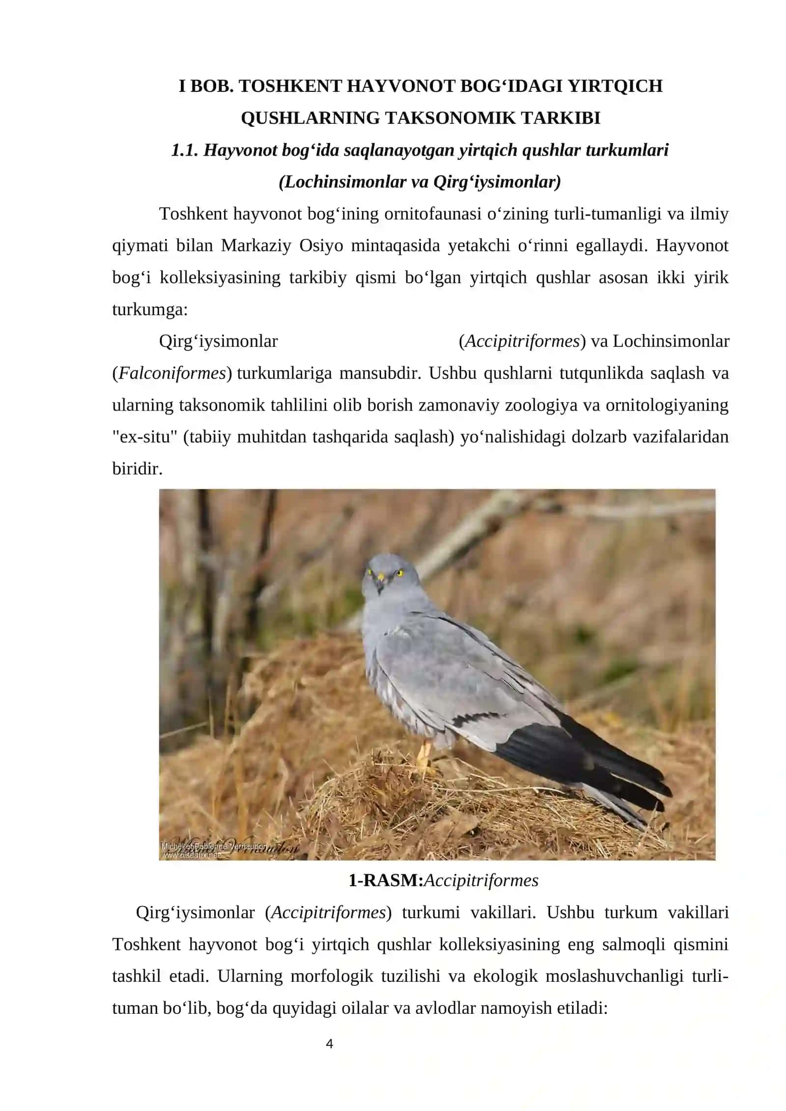 Tutqunlikda saqlanayotgan yirtqich qushlarning tur tarkibi, taksonomik tahlili 4