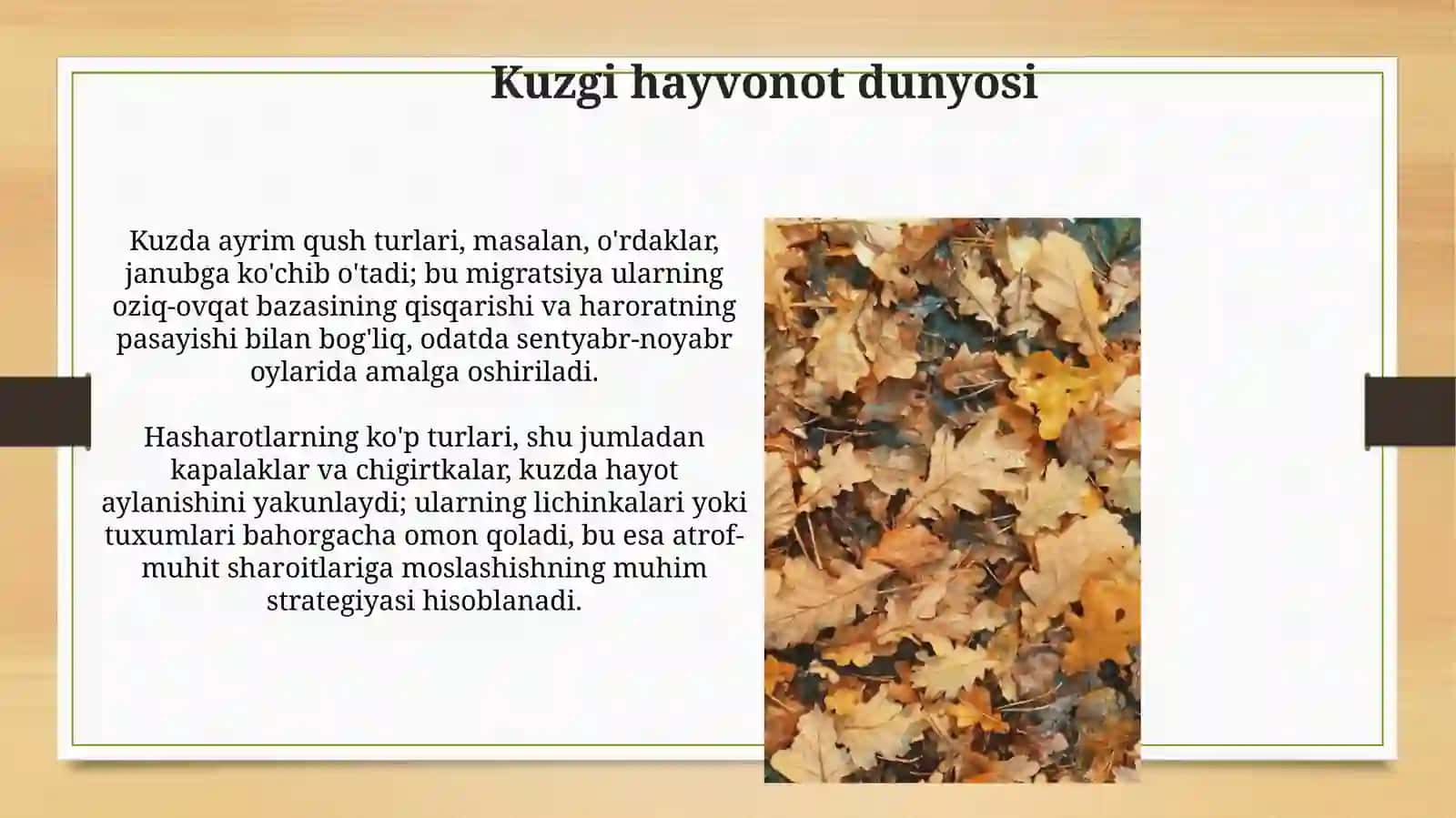 Kuzgi madaniyat va an'analar 4