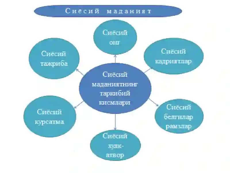 Siyosiy madaniyat. Siyosiy mafkuralar. Siyosiy modernizatsiya 4