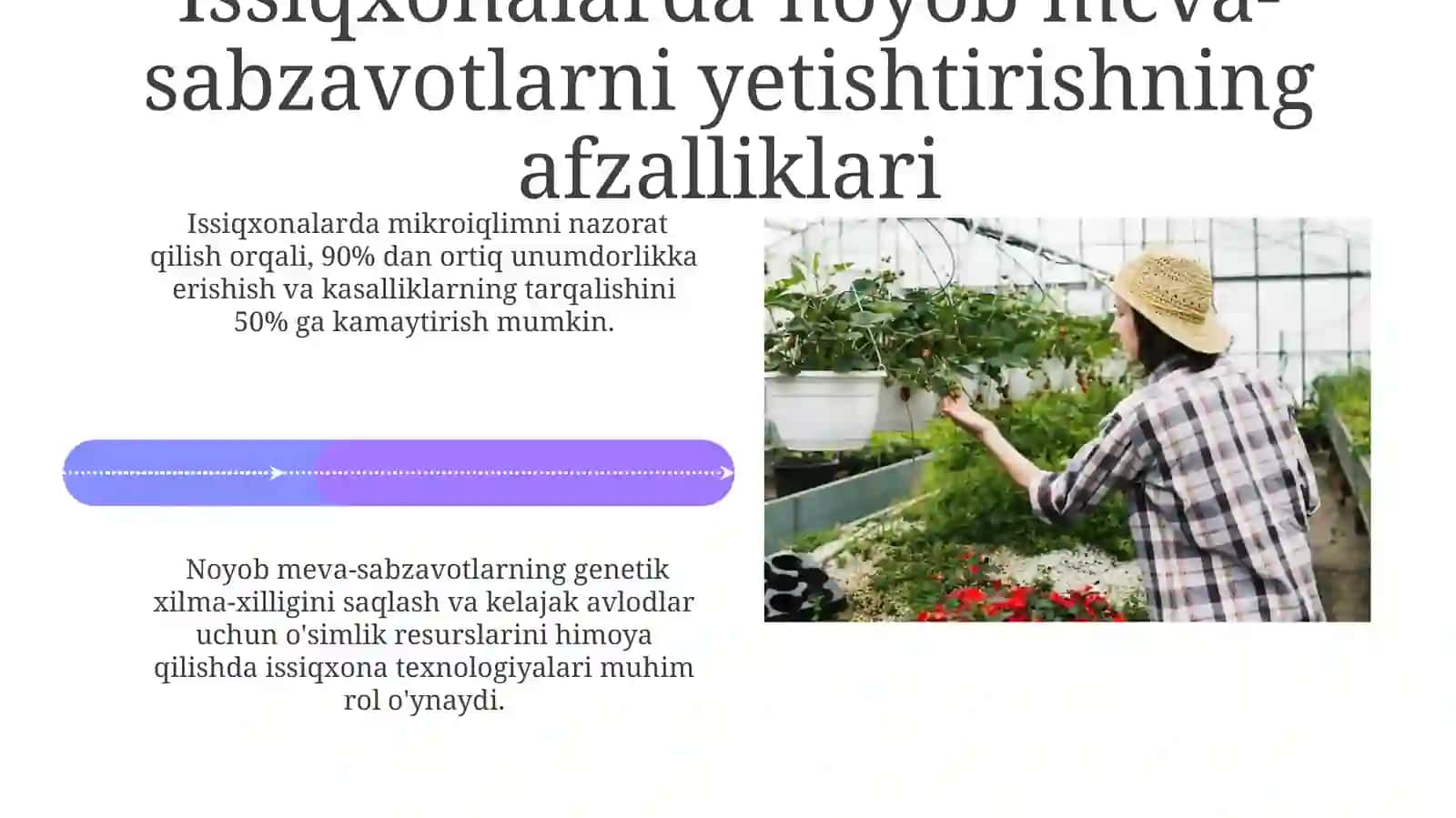 Issiqxonalarda noyob meva-sabzavotlarni yetishtirish texnologiyalari 4