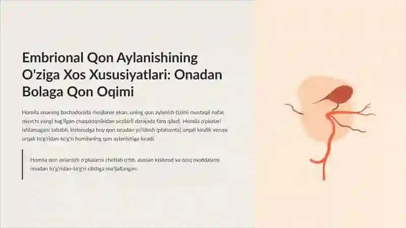 Embrional Qon Aylanishi va Yurak Rivojlanishi: Kirish 4