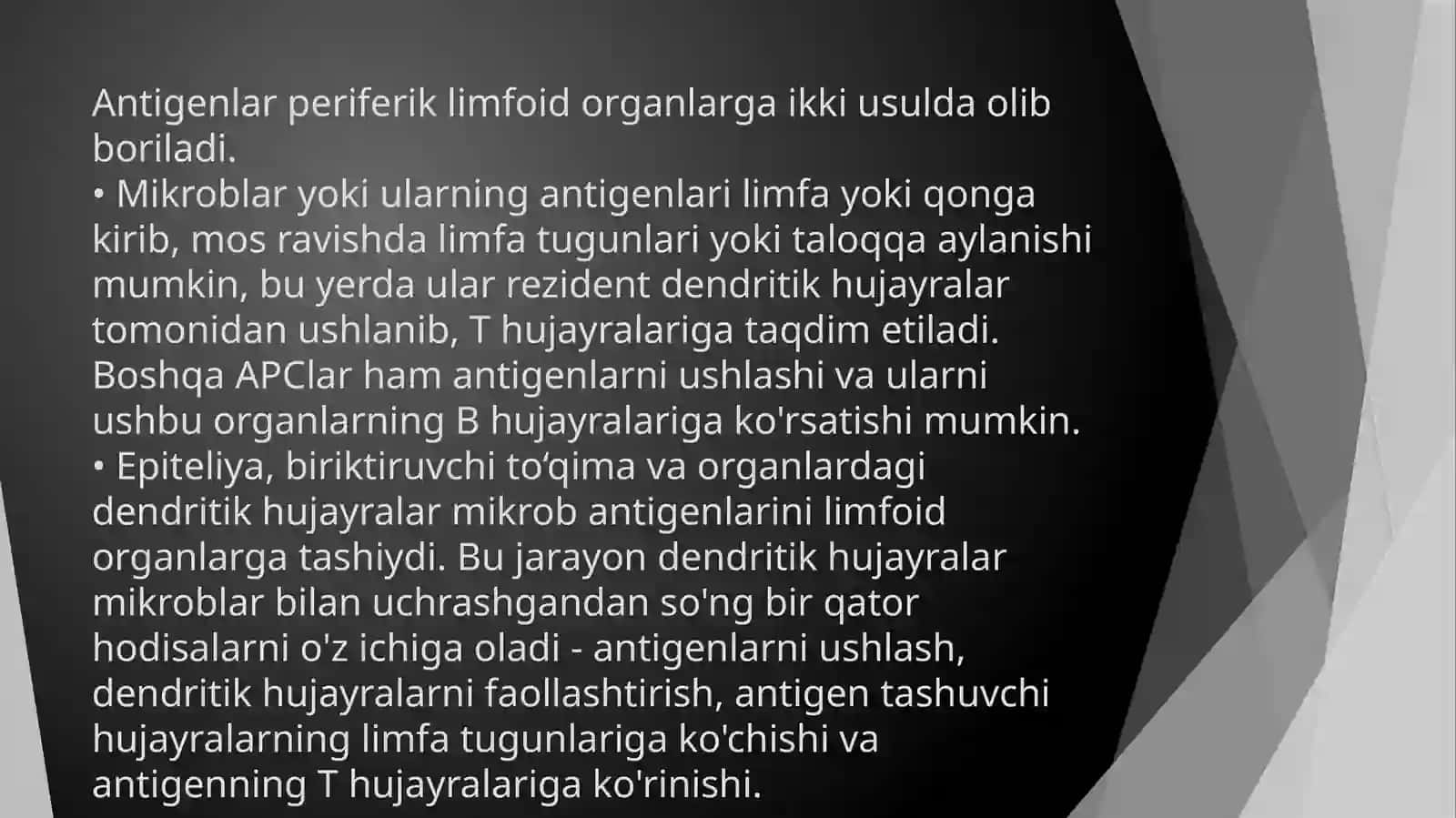 T-limfasitlar 4