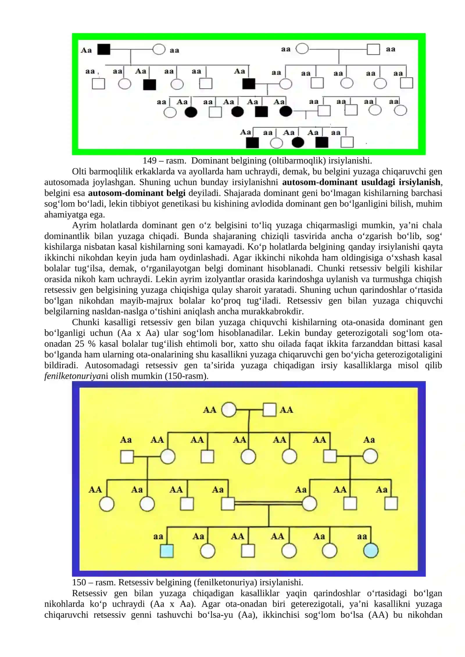 Odam genetikasining o’rganish usullari: genealogik va egizaklar usullari 4
