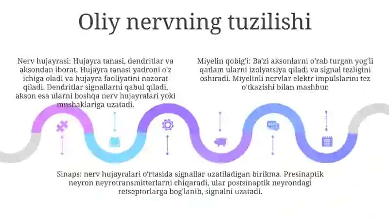 Oliy Nerv 4