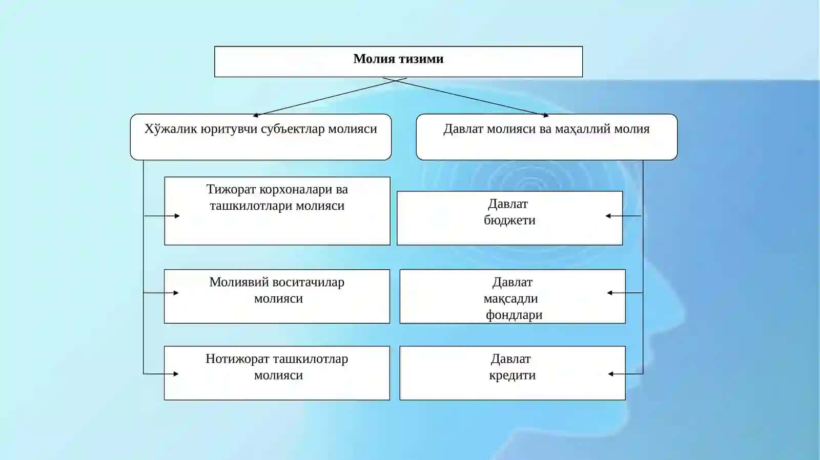 ХЎЖАЛИКЮРИТУВЧИСУБЪЕКТЛАР МОЛИЯСИ 4