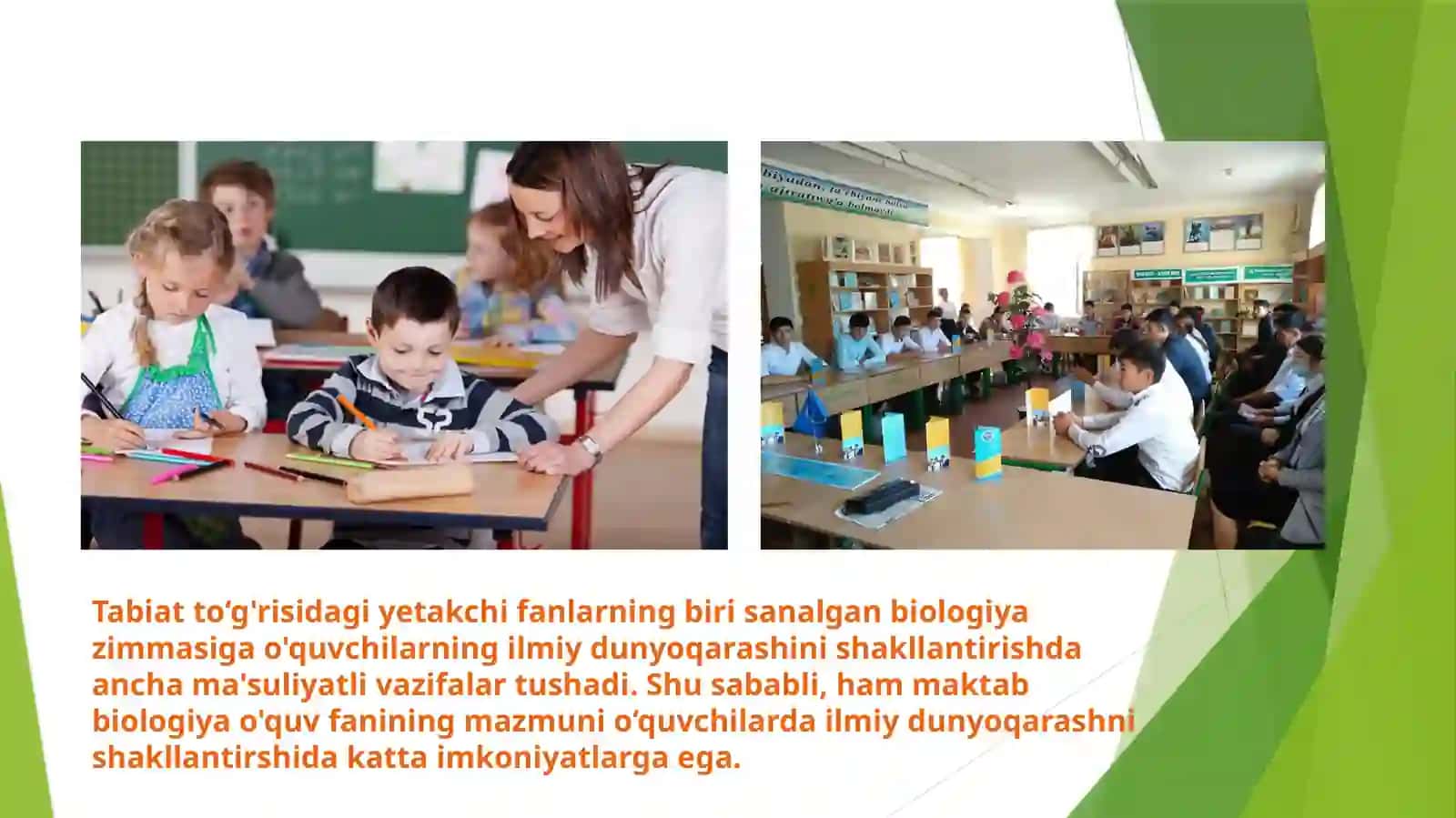 Biologiyani o'qitishda o'quvchilarda ekologik, mehnat va vatanparvarlik tarbiyasini shakllantirish 4