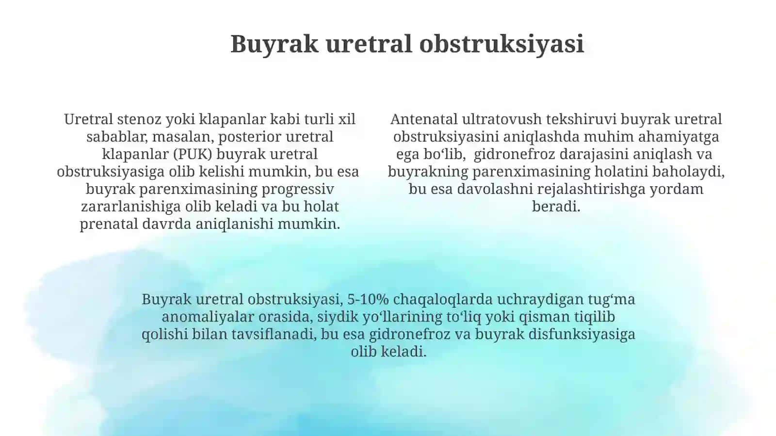 Buyrak anomaliyalarining tasnifi va tasviri 4