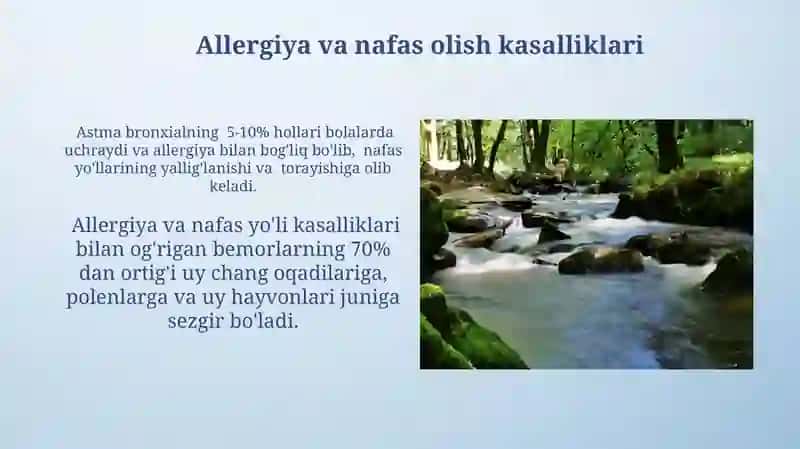 Dariyalarda nafas olish tizimi a'zolarin kasalliklarining kechishi va parvarish xususiyatlari 4