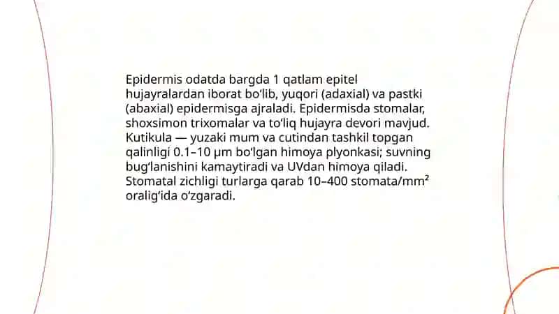 Bargning anatomik tuzilishi 4