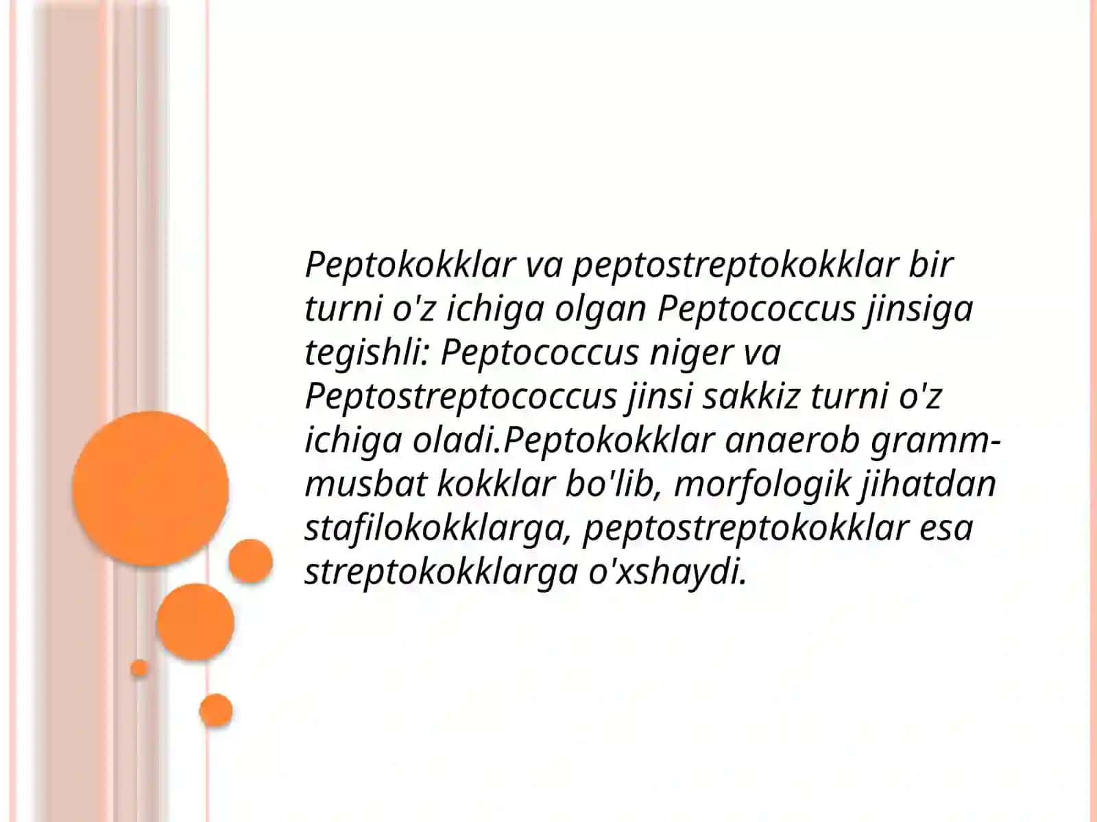 Shartli patogen anaerob kokklarni (peptokokklar, peptostreptokokklar, veylonellalar) 4