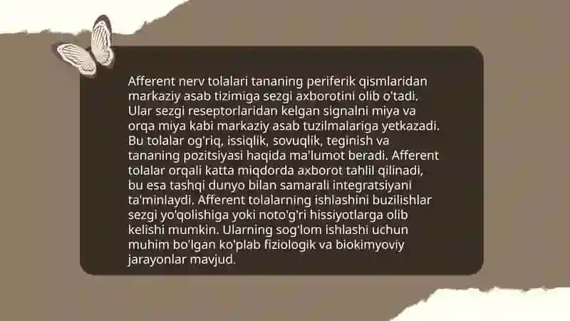Sezgining xususiyatlari va tavsifi 4