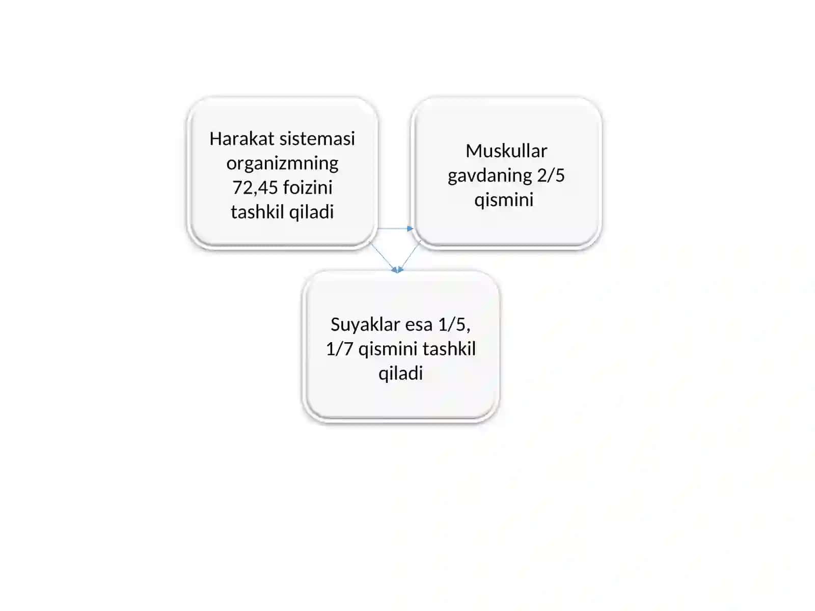 Muskullar haqida umumiy ma’lumotlar 4