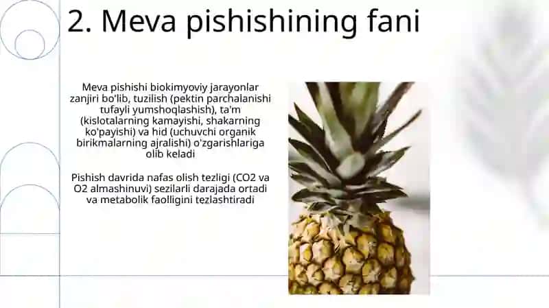 Mevalar 4