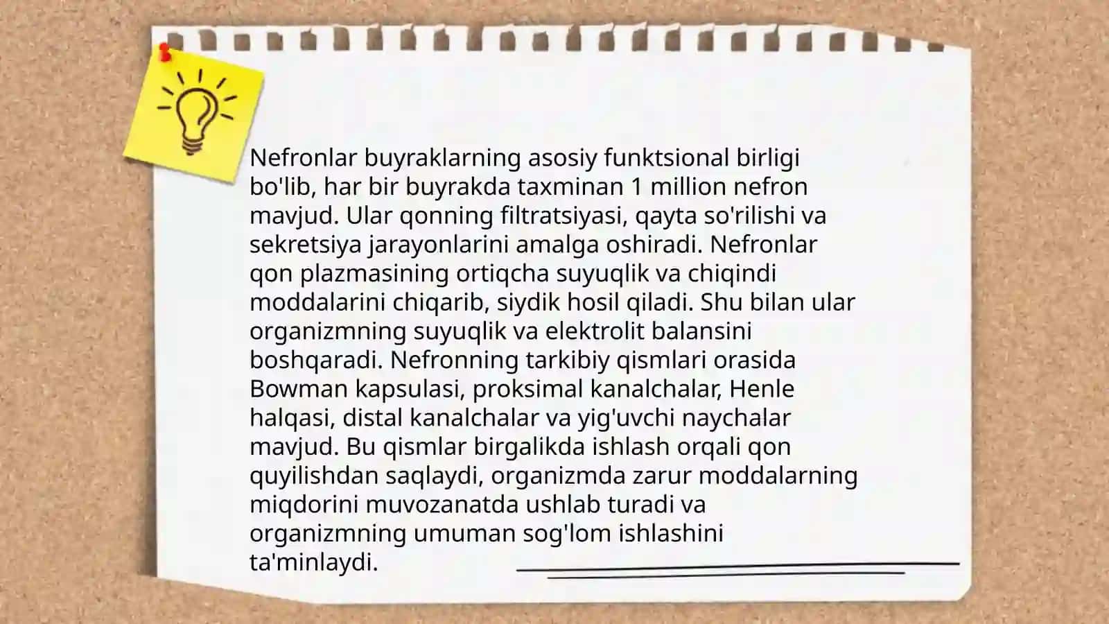Buyrak tuzilishi va vazifasi.siydik ajralishi 4