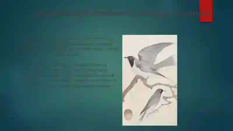 Qushlarning ekologiyasi tuzilishi 4
