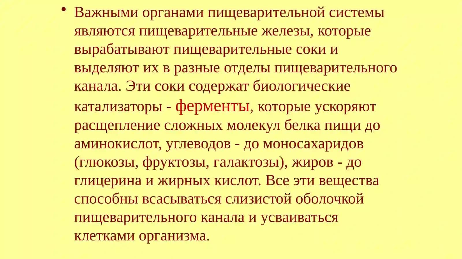 Анатомия и физиология пищеварительной системы 4