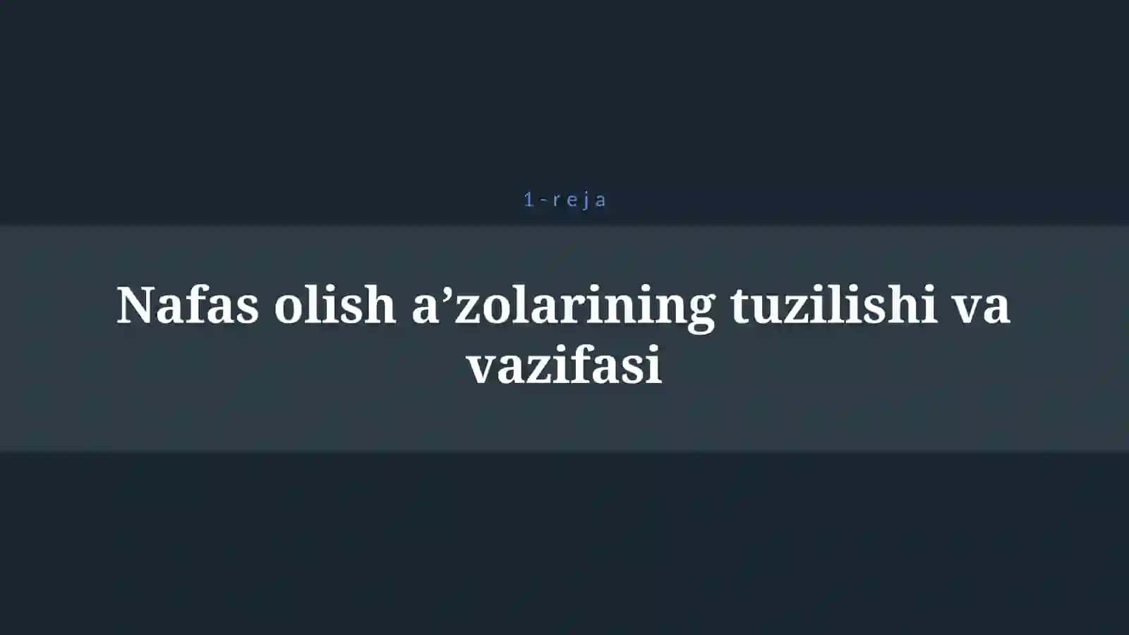 NAFAS OLISH A`ZOLARINING TUZILISHI, FUNKSIYASI, GIGIYENASI VA YOSHGA BOG`LIQ XUSUSIYATLARI 4