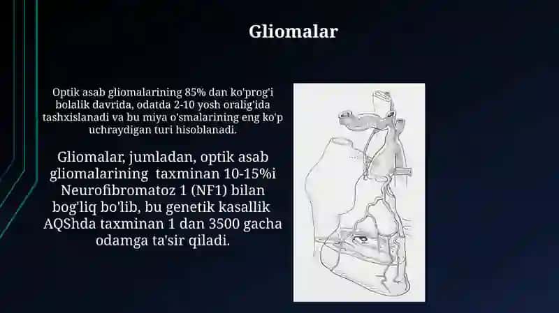 Ko'rish Nervi 4