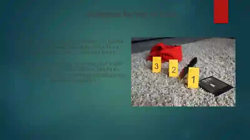 Bankrotlik holatlari bilan bog'liq jinoyatlarni tergov qilish 4