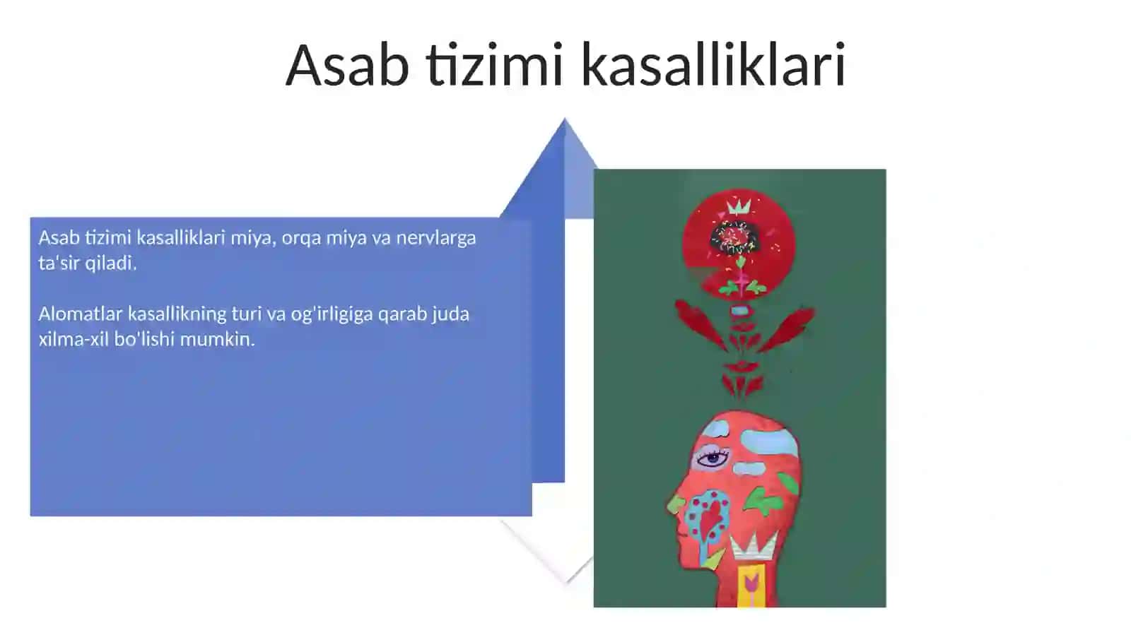 Asab tizimi 4