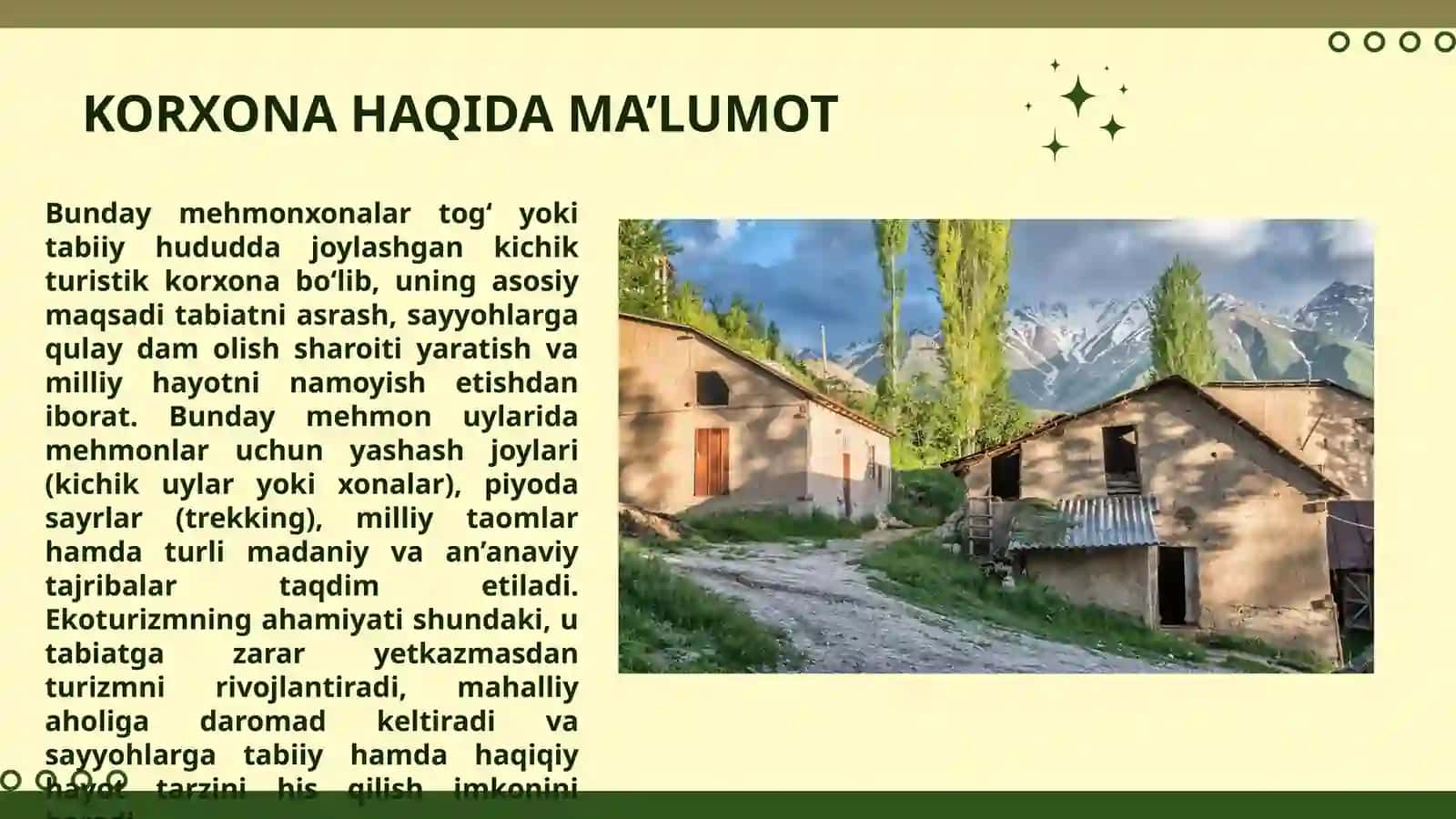 Pestel Tahlili (Tog' hududida ekologik turizm, piyoda sayrlar va an'anaviy ovqatlar bilan xizmat ko'rsatuvchi kichik qo'rg'on mehmonxonasi) 4