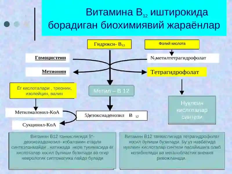 Мегалобласт  анемиялар 4