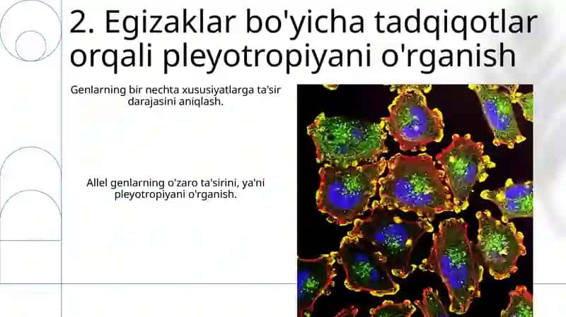 Egizaklarni o'rganishda pleyotropiyani qo'llash va oqibatlari 4