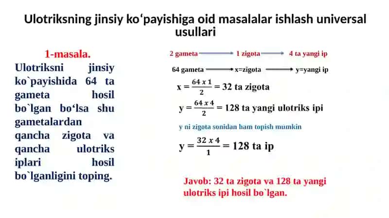 Ulotriks jinsiy ko‘payish texnologiyasi 4