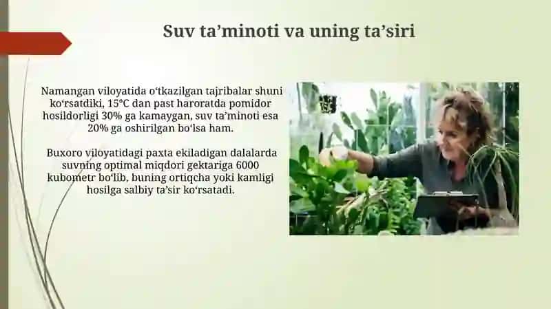 Turli Ekologik Sharoitlarda O'simliklarni O'rganish 4