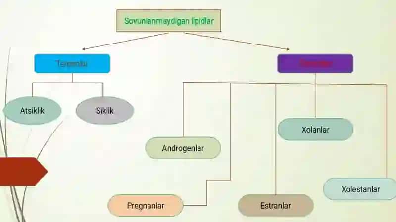 To'yinmagan lipidlar 4
